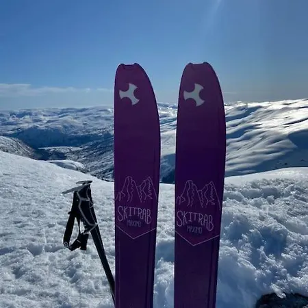 Dom wakacyjny Chaletmons, Stor Trivelig I Myrkdalen