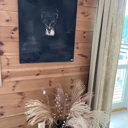 Chaletmons, Stor Trivelig I Myrkdalen Vossestrand