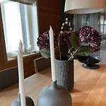 Chaletmons, Stor Trivelig I Myrkdalen *