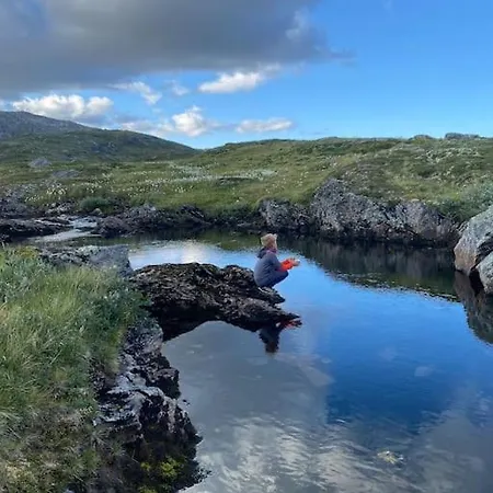 Feriehus Chaletmons, Stor Trivelig I Myrkdalen *
